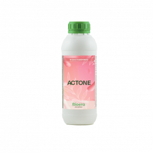 Actone