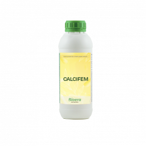 Calcifem