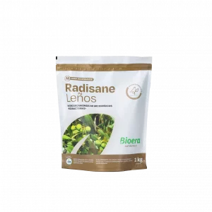 Radisane Leños